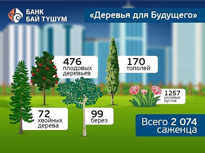 Самая зеленая акция банка Бай-Тушум «Деревья для Будущего» подошла к концу